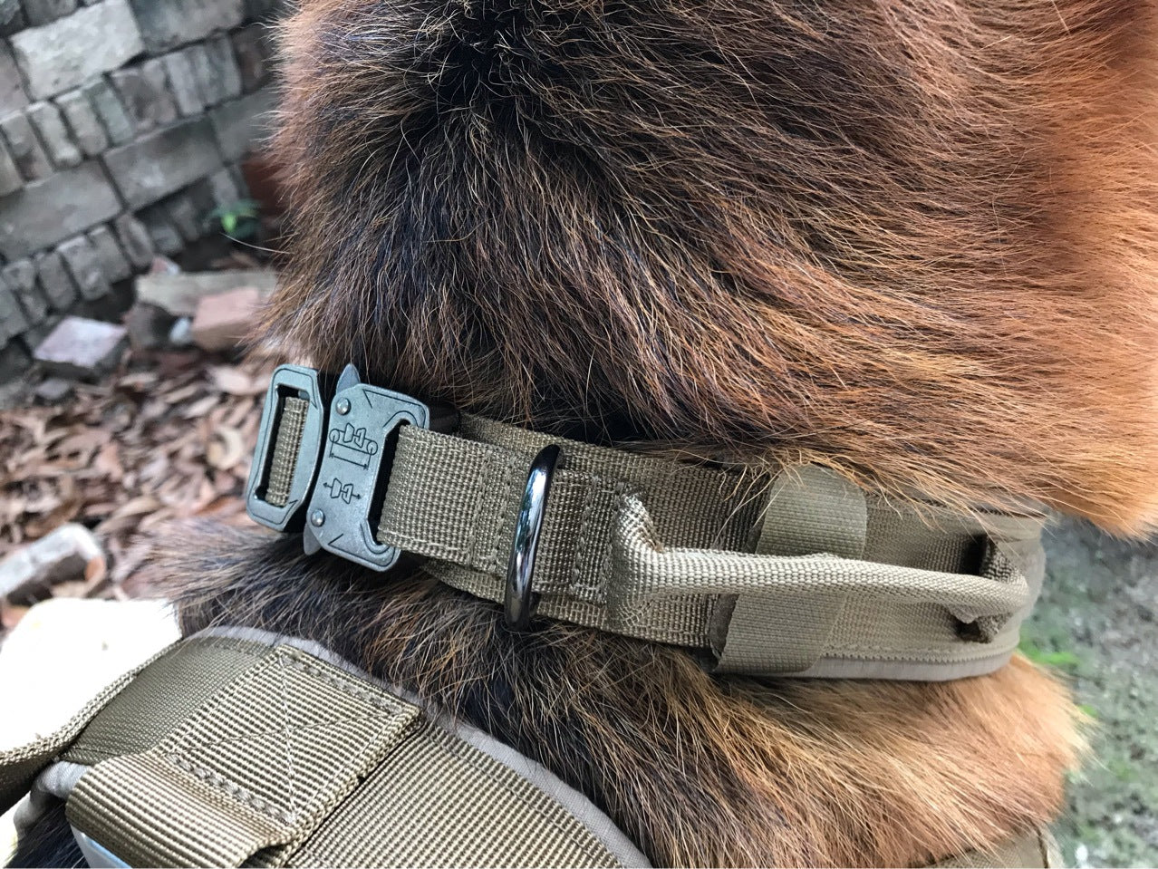 DoggyWrld™ Tactical Collar